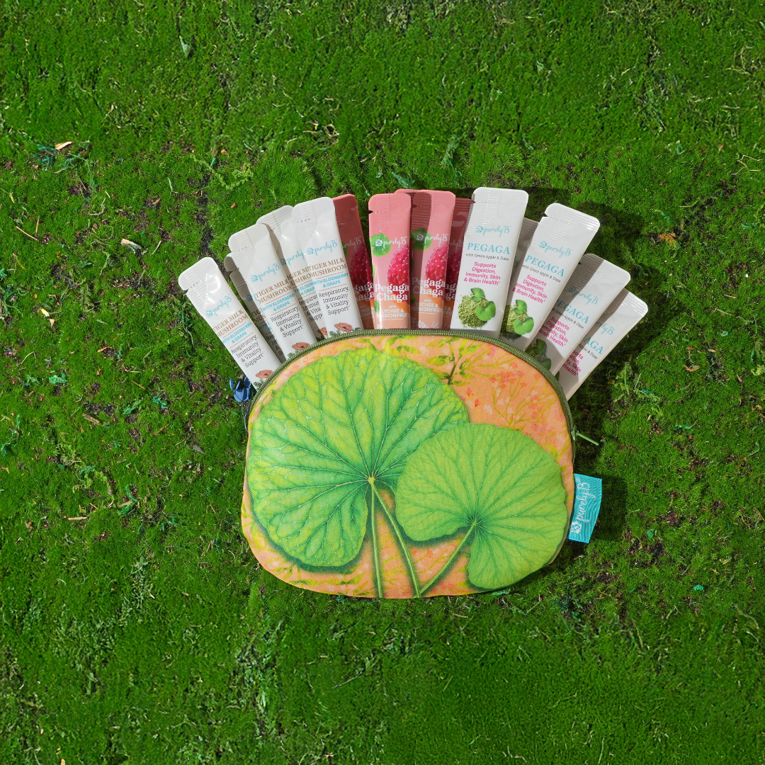 PurelyB Pegaga Pouch