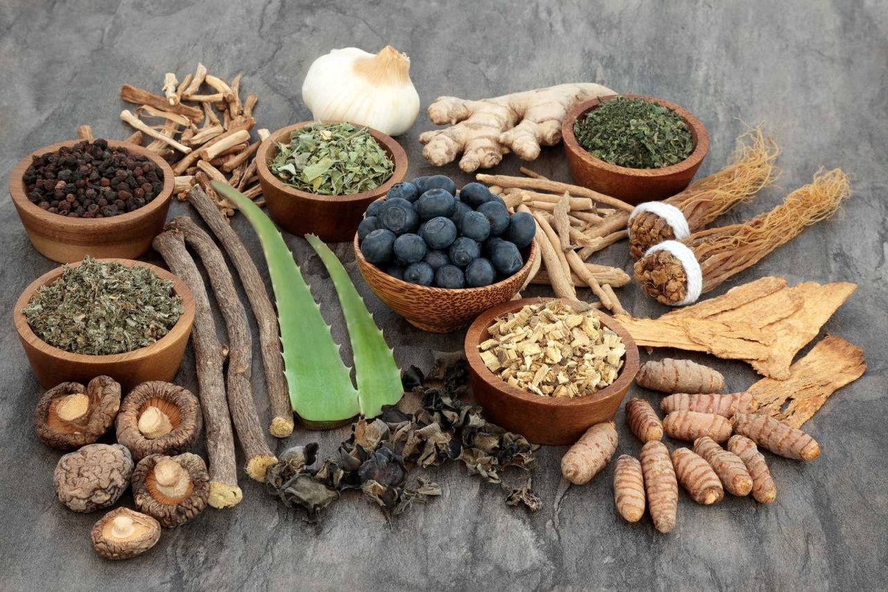 5 “Western” Adaptogens That Are Actually Rooted in Asian Traditions