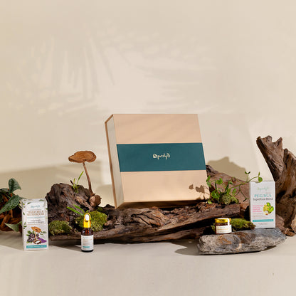 Malaysian Rainforest Wellness Treasure Box (Limited Edition)