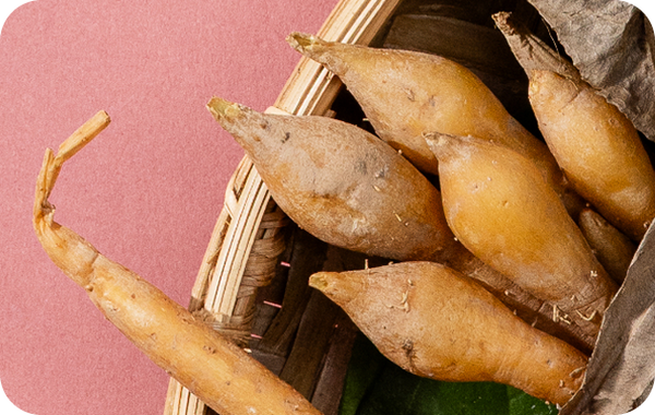 Fingerroot