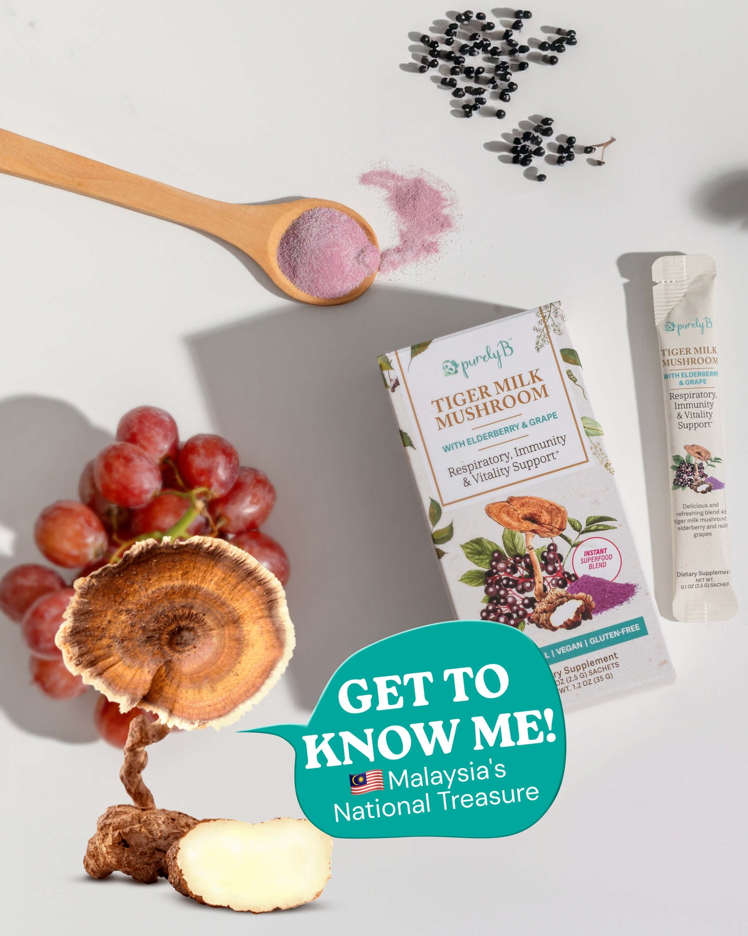 Tiger Milk Mushroom [PRE-ORDER]