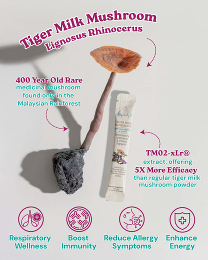 Tiger Milk Mushroom [PRE-ORDER]