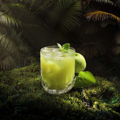 Holistic Anti-Inflammation Program [PRE-ORDER]