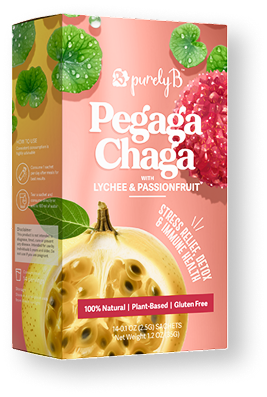 PEGAGA CHAGA